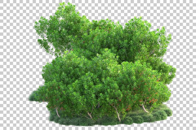 Paisaje verde aislado sobre fondo transparente ilustración de renderizado 3d