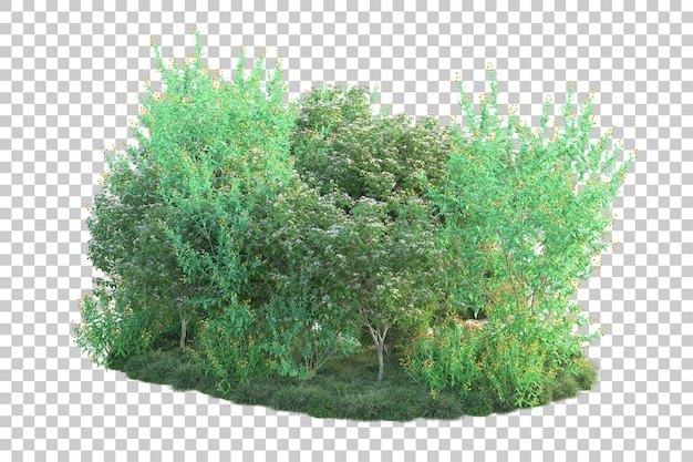 Paisaje verde aislado sobre fondo transparente ilustración de renderizado 3d