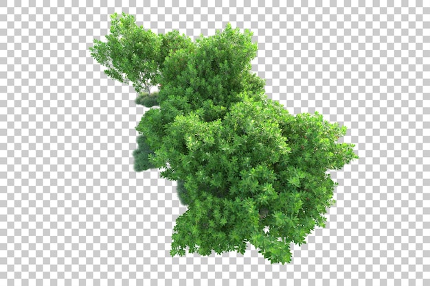 Paisaje verde aislado sobre fondo transparente ilustración de renderizado 3d