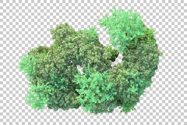 Paisaje verde aislado sobre fondo transparente ilustración de renderizado 3d
