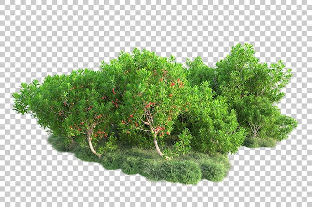 Paisaje verde aislado sobre fondo transparente ilustración de renderizado 3d