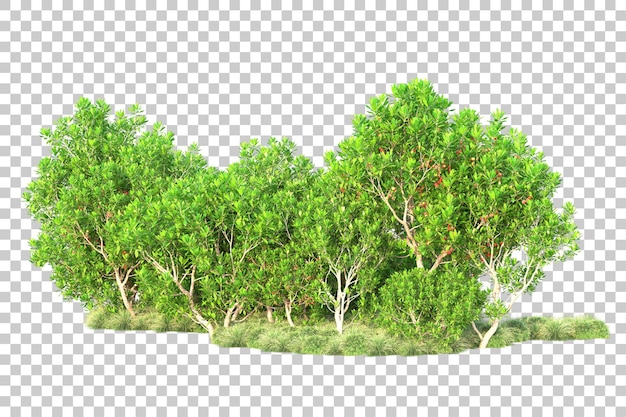 Paisaje verde aislado sobre fondo transparente ilustración de renderizado 3d