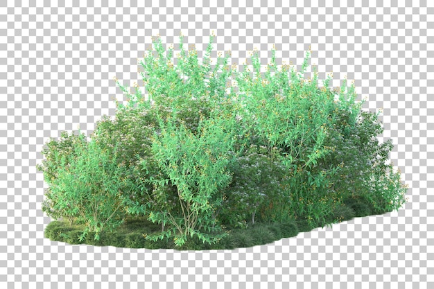 Paisaje verde aislado sobre fondo transparente ilustración de renderizado 3d