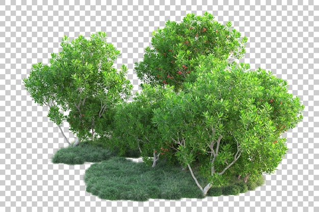 Paisaje verde aislado sobre fondo transparente ilustración de renderizado 3d