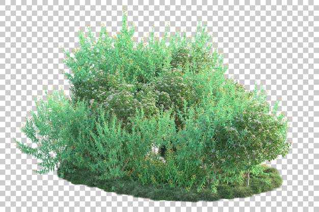 Paisaje verde aislado sobre fondo transparente ilustración de renderizado 3d