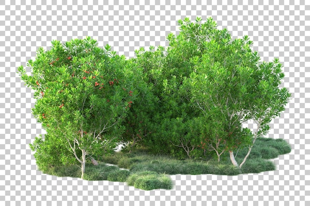 Paisaje verde aislado sobre fondo transparente ilustración de renderizado 3d