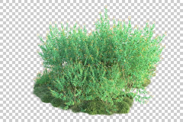 Paisaje verde aislado sobre fondo transparente ilustración de renderizado 3d