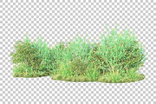 Paisaje verde aislado sobre fondo transparente ilustración de renderizado 3d