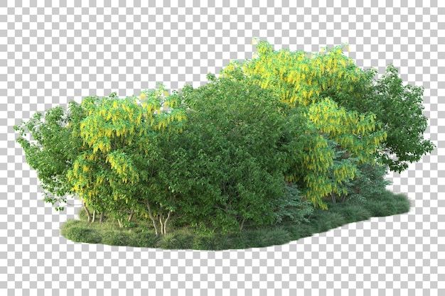 Paisaje verde aislado sobre fondo transparente ilustración de renderizado 3d