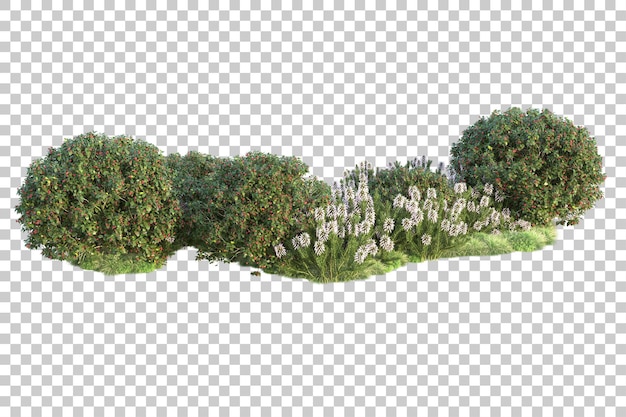 Paisaje verde aislado sobre fondo transparente ilustración de renderizado 3d