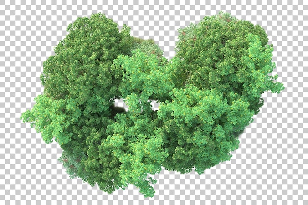 Paisaje verde aislado sobre fondo transparente ilustración de renderizado 3d