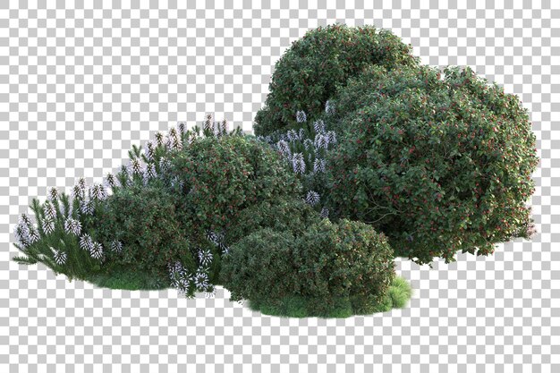 Paisaje verde aislado sobre fondo transparente ilustración de renderizado 3d