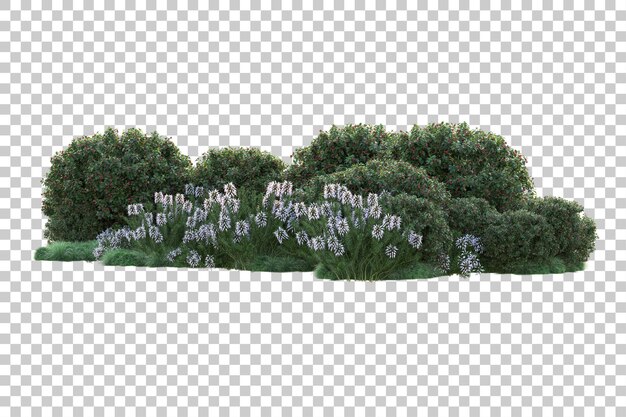Paisaje verde aislado sobre fondo transparente ilustración de renderizado 3d