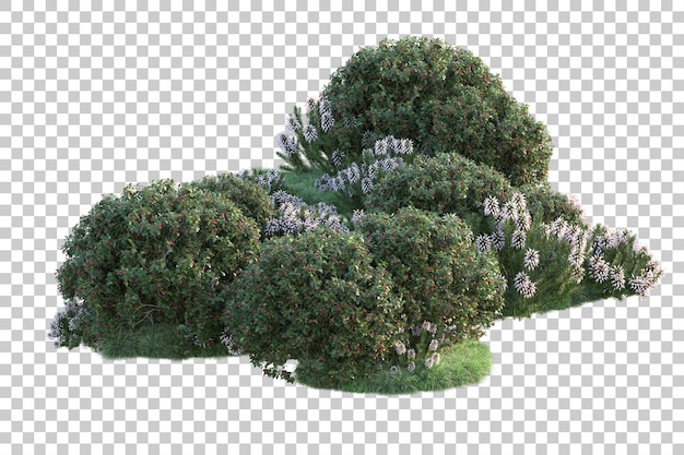 Paisaje verde aislado sobre fondo transparente ilustración de renderizado 3d