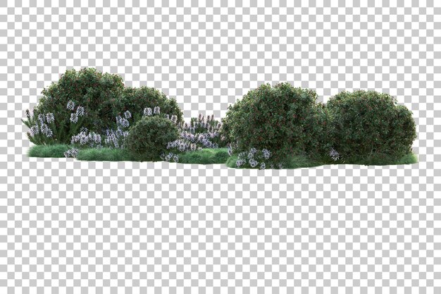 Paisaje verde aislado sobre fondo transparente ilustración de renderizado 3d