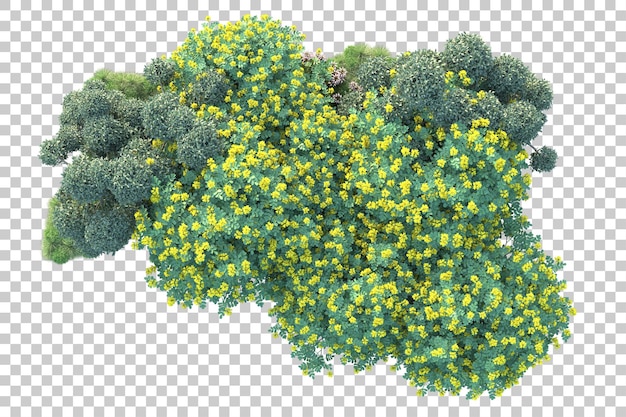 Paisaje verde aislado sobre fondo transparente ilustración de renderizado 3d