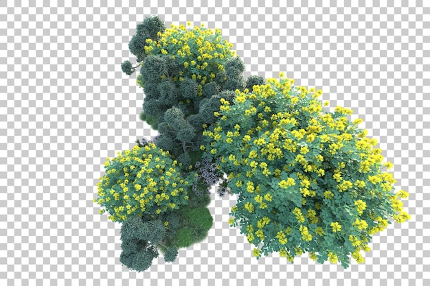 Paisaje verde aislado sobre fondo transparente ilustración de renderizado 3d