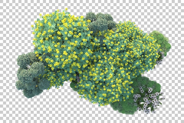 Paisaje verde aislado sobre fondo transparente ilustración de renderizado 3d