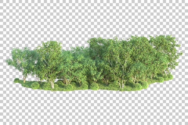 PSD paisaje verde aislado sobre fondo transparente ilustración de renderizado 3d