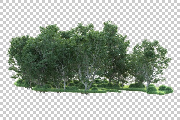 Paisaje verde aislado sobre fondo transparente ilustración de renderizado 3d