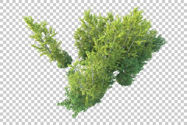 Paisaje verde aislado sobre fondo transparente ilustración de renderizado 3d