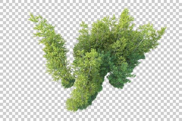 Paisaje verde aislado sobre fondo transparente ilustración de renderizado 3d