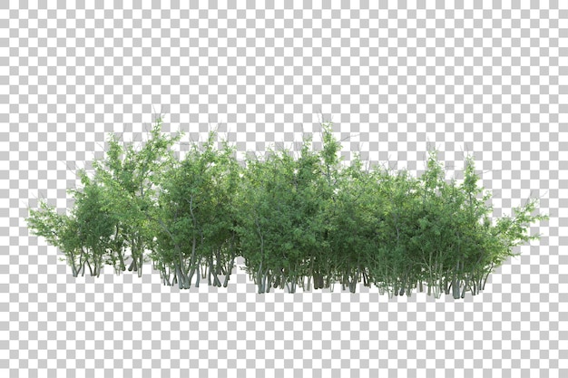 Paisaje verde aislado sobre fondo transparente ilustración de renderizado 3d