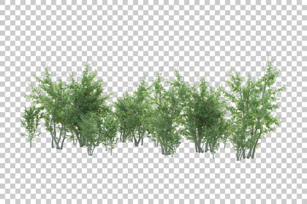 Paisaje verde aislado sobre fondo transparente ilustración de renderizado 3d