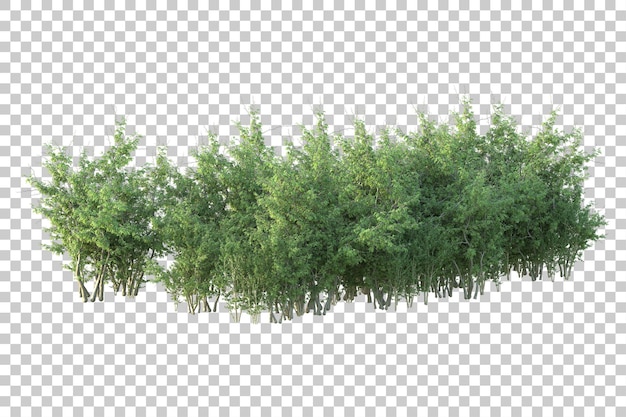 Paisaje verde aislado sobre fondo transparente ilustración de renderizado 3d