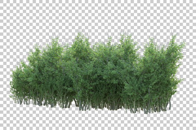 Paisaje verde aislado sobre fondo transparente ilustración de renderizado 3d