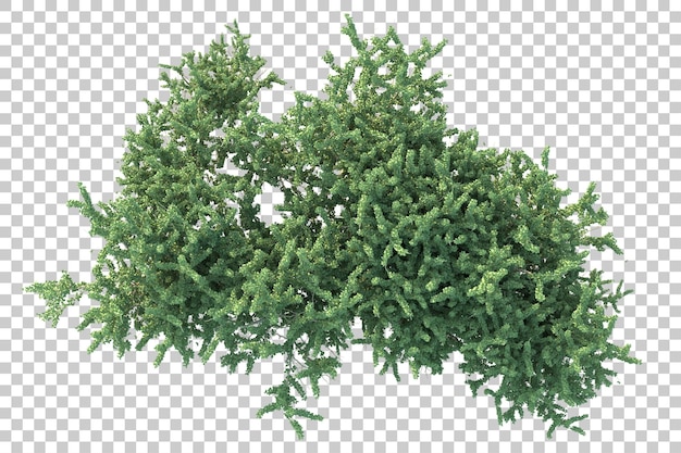 Paisaje verde aislado sobre fondo transparente ilustración de renderizado 3d