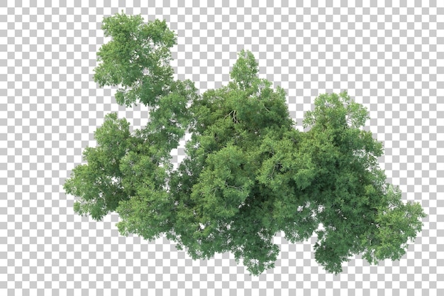 Paisaje verde aislado sobre fondo transparente ilustración de renderizado 3d