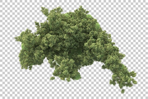 Paisaje verde aislado sobre fondo transparente ilustración de renderizado 3d