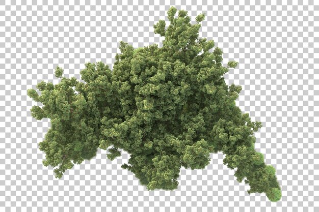 Paisaje verde aislado sobre fondo transparente ilustración de renderizado 3d
