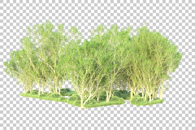 Paisaje verde aislado sobre fondo transparente ilustración de renderizado 3d
