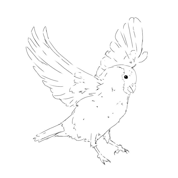 PSD pájaro bullfinch en vuelo ilustración en blanco y negro
