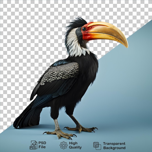 PSD el pájaro de cuerno de rinoceronte aislado en un fondo transparente incluye un archivo png