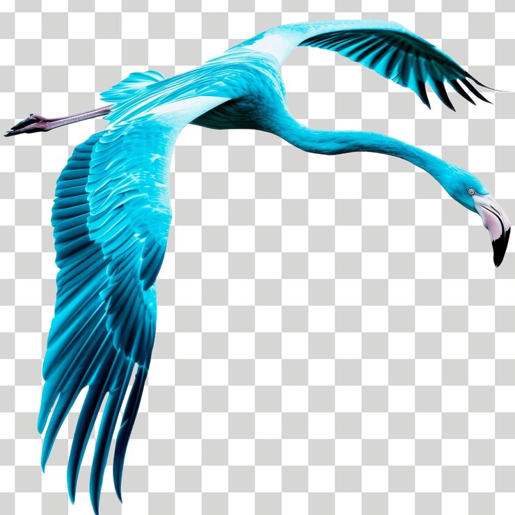 un pájaro está volando en el cielo con un cuerpo azul