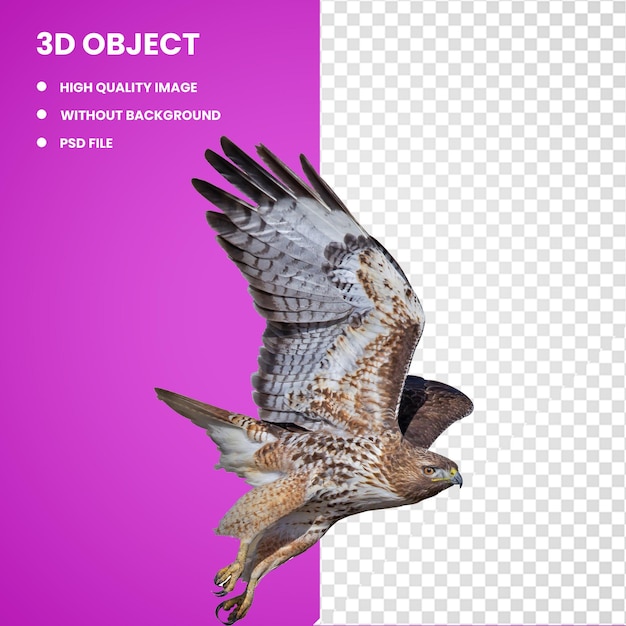 PSD pájaro halcón 3d buzardo águila halcón