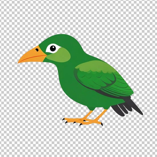pájaro kiwi