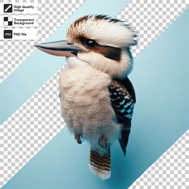 PSD pájaro de kookaburra psd en un fondo transparente