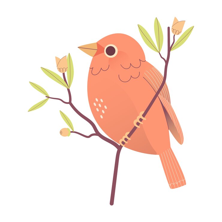 PSD pájaro lindo en la rama