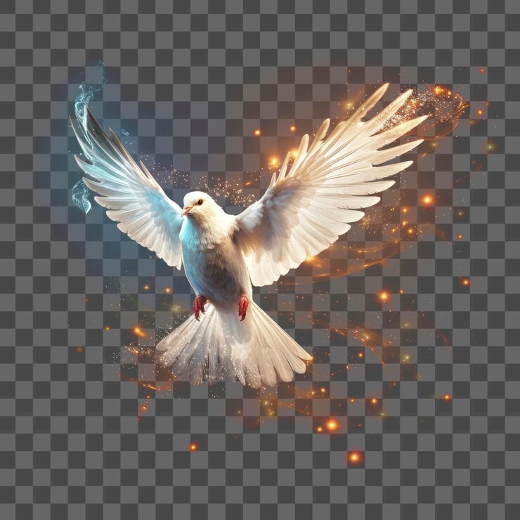 PSD el pájaro paloma animal