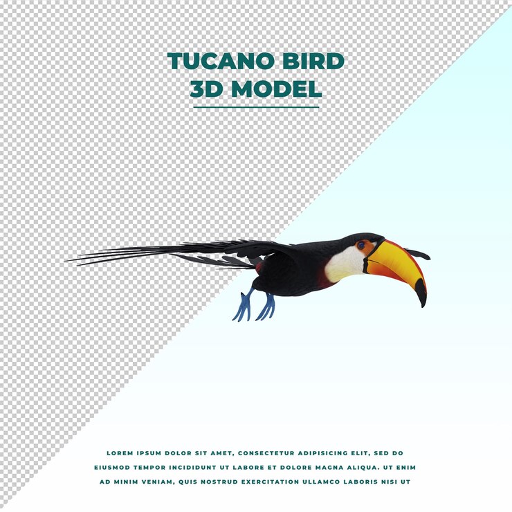 PSD el pájaro tucano aislado