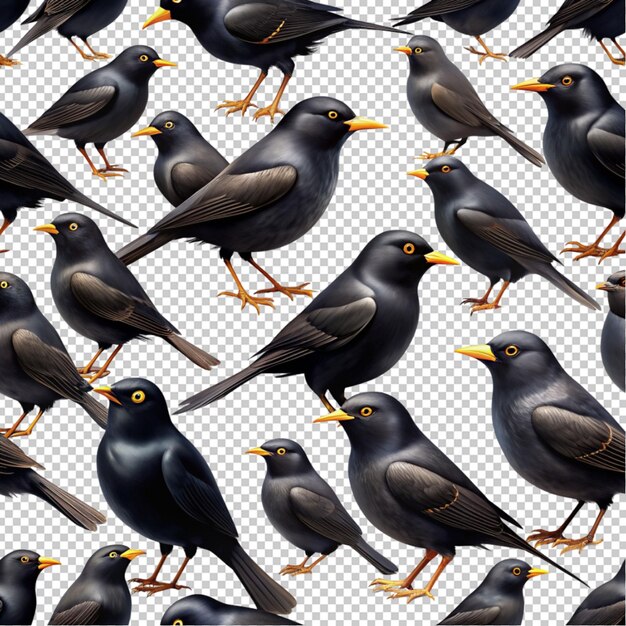 Pájaros negros