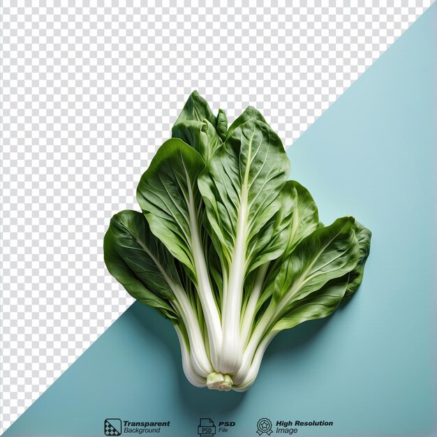 PSD pak choi isolado em fundo transparente