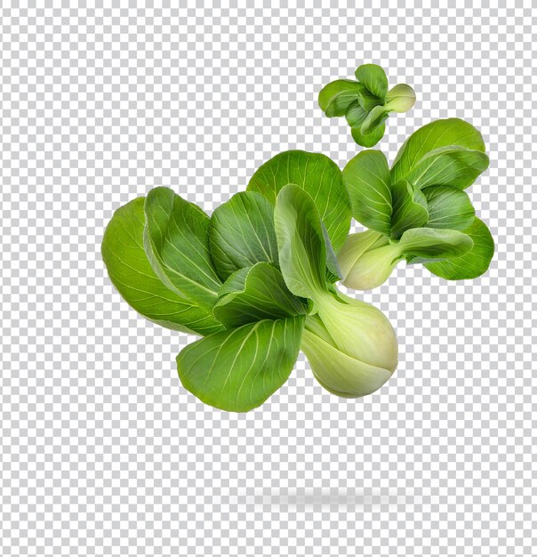 Pak choi isolado psd premium