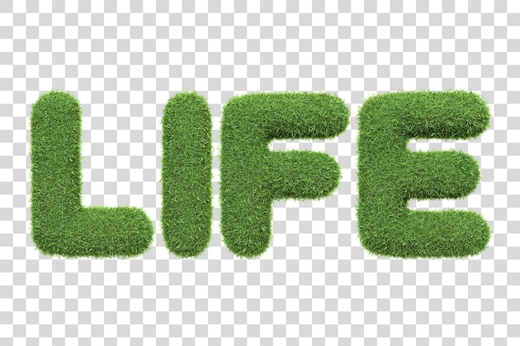 PSD la palabra life creada a partir de una textura de hierba verde vibrante contra un fondo blanco 3d render illust