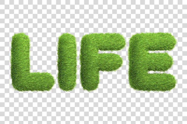 PSD la palabra life creada a partir de una textura de hierba verde vibrante contra un fondo blanco render 3d