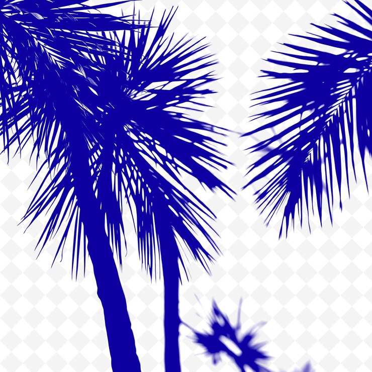 PSD palm fronds and glass shards shadows casting jagged and angular png shadow cast ilustraçõesp